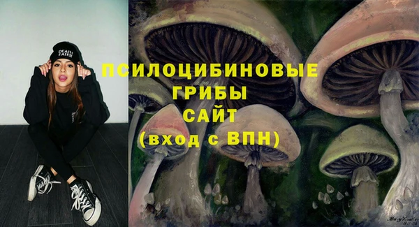 стафф Абдулино