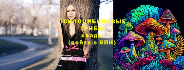 стафф Абдулино