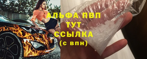 спиды Абаза