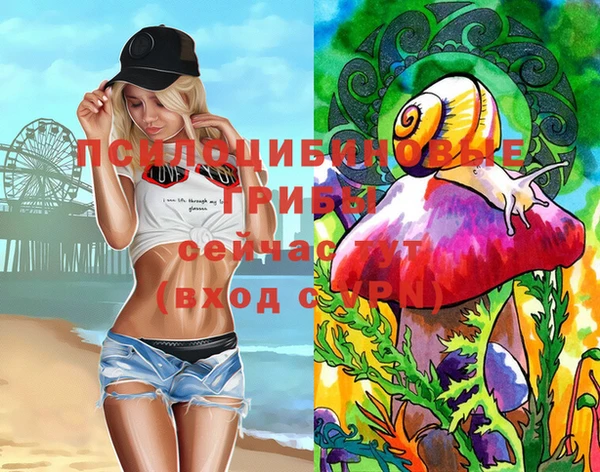 шишки Карпинск