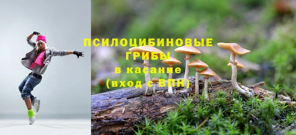 стафф Абдулино