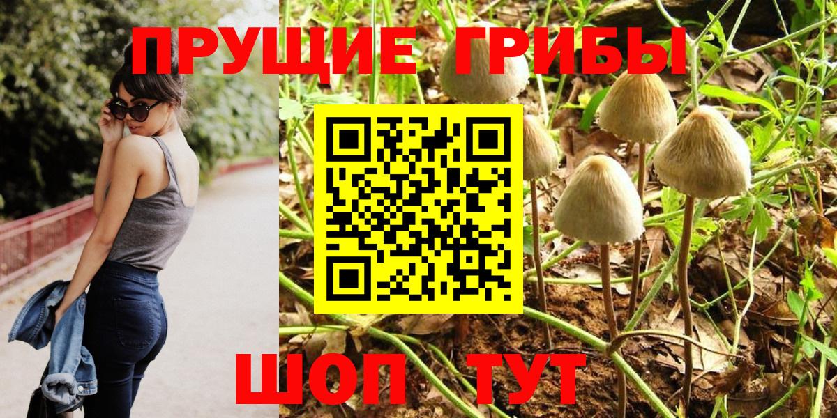 Шахты  Псилоцибиновые грибы ЛСД  Вход с VPN 